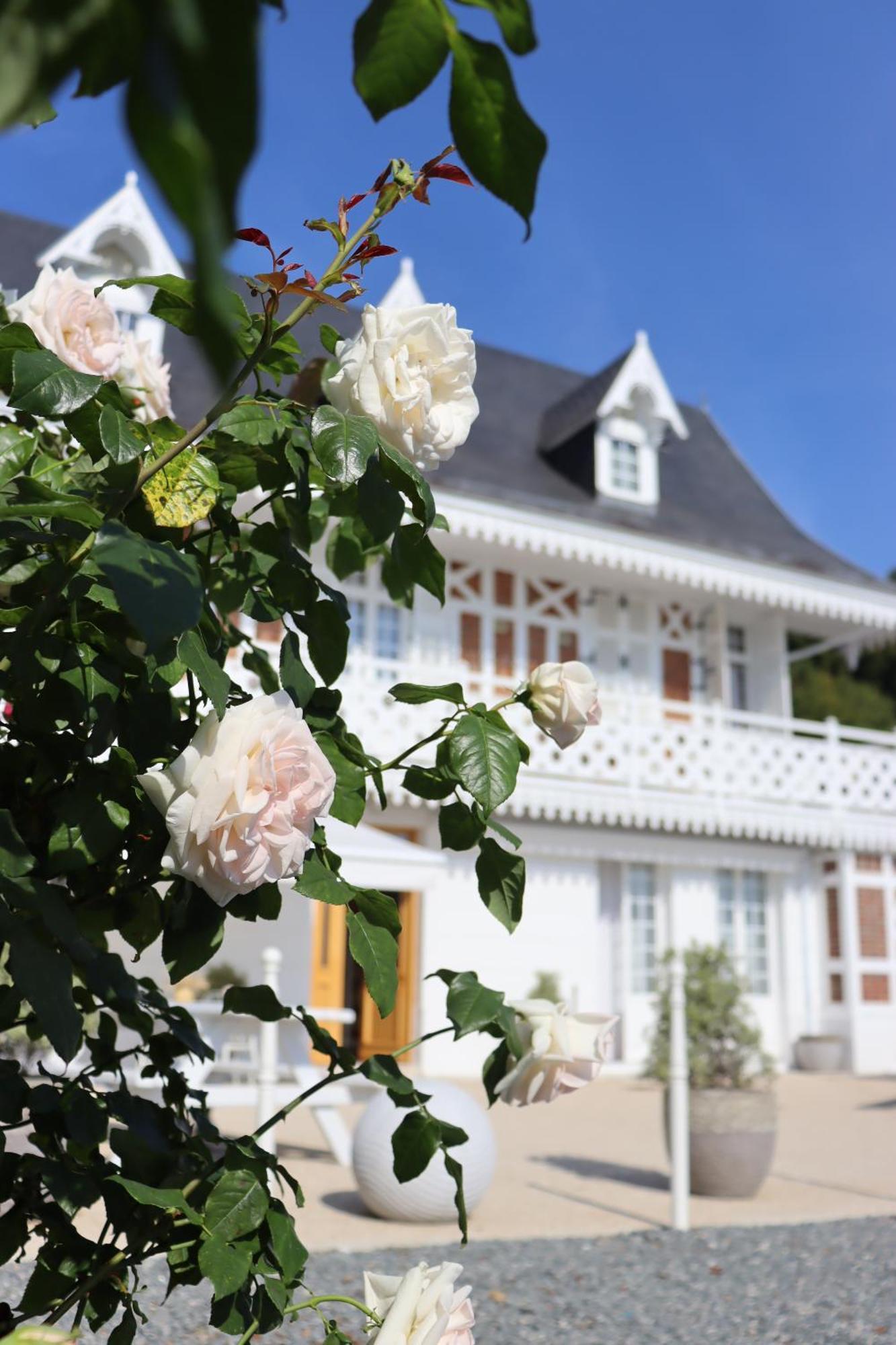 White House, Maison D'Hotes Villequier Экстерьер фото